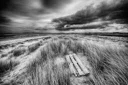 Driftwood, Norfolk Beach, Art, Black & White Print, Wall Photography, Poster - thumbnail 3