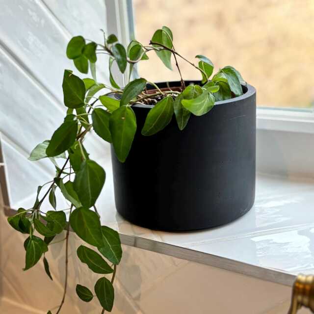 Matte Black Concrete Plant Pot Handmade Indoor Planter, Porch Decor - image 1
