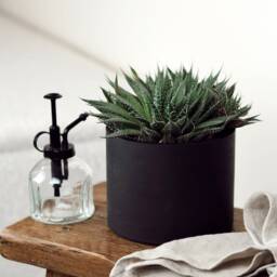 Matte Black Concrete Plant Pot Handmade Indoor Planter, Porch Decor - thumbnail 2