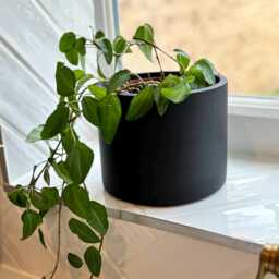 Matte Black Concrete Plant Pot Handmade Indoor Planter, Porch Decor