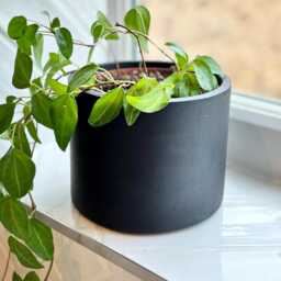 Matte Black Concrete Plant Pot Handmade Indoor Planter, Porch Decor - thumbnail 4