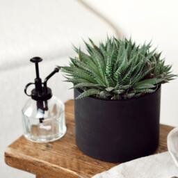 Matte Black Concrete Plant Pot Handmade Indoor Planter, Porch Decor - thumbnail 3