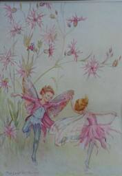 Margaret Tarrant Rare Vintage Flower Fairy Print Ragged Robin Mounted 1936 Fairies Childs Nursery Ready To Frame - thumbnail 1