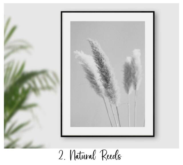 Black & White Prints, Grey Wall Art, Beach Floral Print, Botanical Art Prints Bedroom Living Room Poster Choice Of 12 - image 1