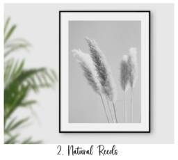 Black & White Prints, Grey Wall Art, Beach Floral Print, Botanical Art Prints Bedroom Living Room Poster Choice Of 12 - thumbnail 1