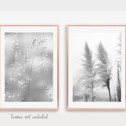 Black & White Prints, Grey Wall Art, Beach Floral Print, Botanical Art Prints Bedroom Living Room Poster Choice Of 12 - thumbnail 3