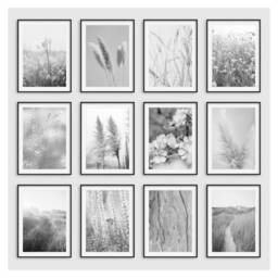 Black & White Prints, Grey Wall Art, Beach Floral Print, Botanical Art Prints Bedroom Living Room Poster Choice Of 12 - thumbnail 2