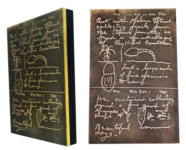 Charles Walcott's Field Notebook Etched in Brass On Artblock - image 1
