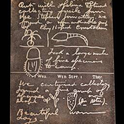 Charles Walcott's Field Notebook Etched in Brass On Artblock - thumbnail 3