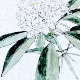 West Virginia State Flower Map Watercolor Rhododendron - Art Print Wall Graduation Wedding Anniversary Realtor Moving Gift - thumbnail 2