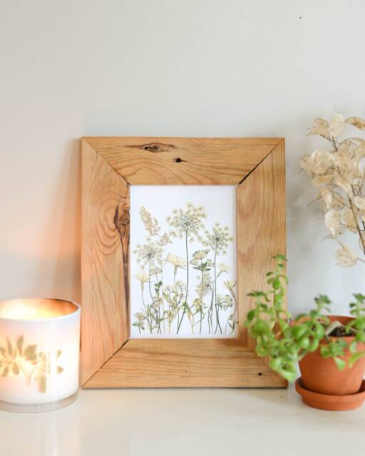 Frosted Meadow - Print Reproduction Artwork Of Pressed Flowers 100% Cotton Rag Paper Botanical Art - image 1
