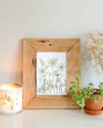 Frosted Meadow - Print Reproduction Artwork Of Pressed Flowers 100% Cotton Rag Paper Botanical Art - thumbnail 1