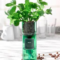 Gift Set 3 Upcycled Hydroponic Herb Planters - thumbnail 3