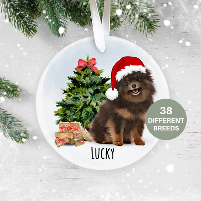 Chocolate & Tan Pomeranian, Personalised Christmas Ornament, Tree Pet Lover, Dog Decoration, New Puppy, First - image 1