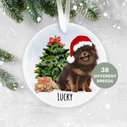 Chocolate & Tan Pomeranian, Personalised Christmas Ornament, Tree Pet Lover, Dog Decoration, New Puppy, First - thumbnail 1