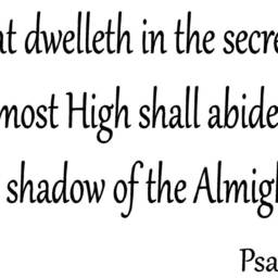 He That Dwelleth in The Secret Place Of Most High Shall Psalm 911 Wall Decal Bible Verse Scripture Christian Home Decor Vwaq-7061 - thumbnail 2