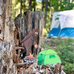 Sasquatch Fancy Plants Diorama Kit - thumbnail 2