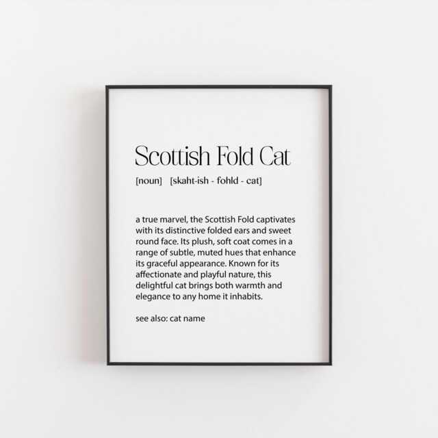 Personalised Scottish Fold Cat Definition Print - Custom Name Unique Gift For Lovers Art Pet Lover's Wall Decor - image 1