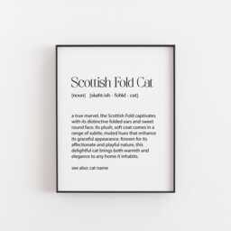 Personalised Scottish Fold Cat Definition Print - Custom Name Unique Gift For Lovers Art Pet Lover's Wall Decor - thumbnail 1