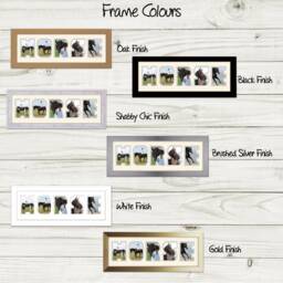 Horse Photo Frame Word Name Special Gift 26A By Photos in A Word - thumbnail 3