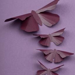3D Butterfly Wall Art Plum Metallic Silhouettes For Girls Room, Nursery, & Home Art Decor - thumbnail 2