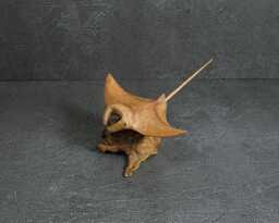 Wooden Manta Ray Sculpture Tropical Marine Decor, 6.3 - thumbnail 1