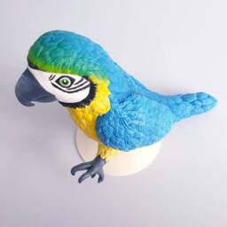 Parrot Sculpture in Polymer Clay. Hand-Painted Bird Figurine - thumbnail 3