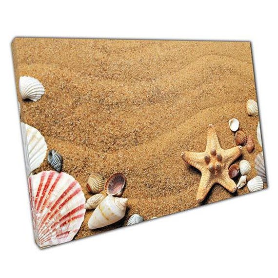 Coastal Shell & Starfish Canvas Print Summer Beach Scene Wall Art For Home, Office Kids Room - image 1