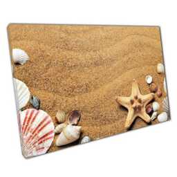 Coastal Shell & Starfish Canvas Print Summer Beach Scene Wall Art For Home, Office Kids Room - thumbnail 1