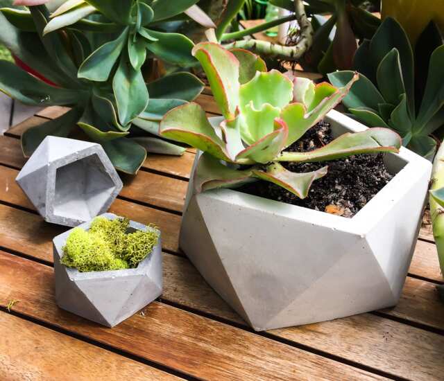 Large Concrete Planter, Geometric Icosahedron, Succulent Modern Cement Planter - image 1