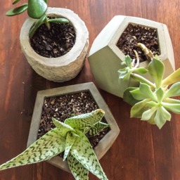 Large Concrete Planter, Geometric Icosahedron, Succulent Modern Cement Planter - thumbnail 4