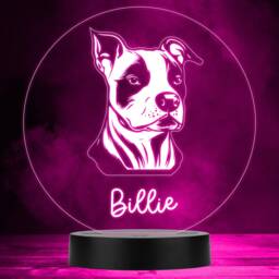 Amstaff American Staff Dog Pet Multicolour Personalised Led Lamp Night Light - Gift Bedroom - thumbnail 1