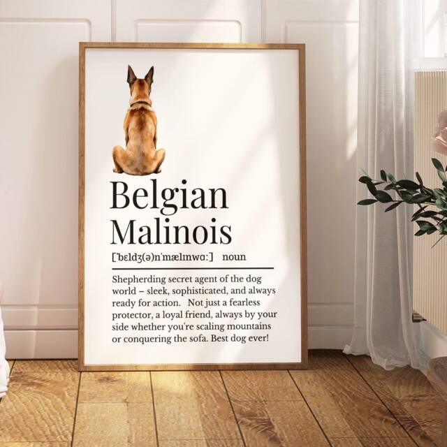 Belgian Malinois Definition Print, Wall Print For Owner, Malinoisprint, Dog Owner Gift - image 1