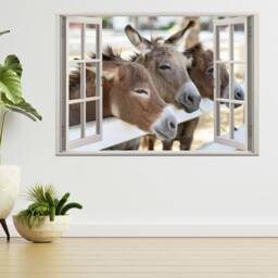Three Horse & Donkey in The Farm 3D Window View Wall Sticker Poster Decal A995 - thumbnail 1