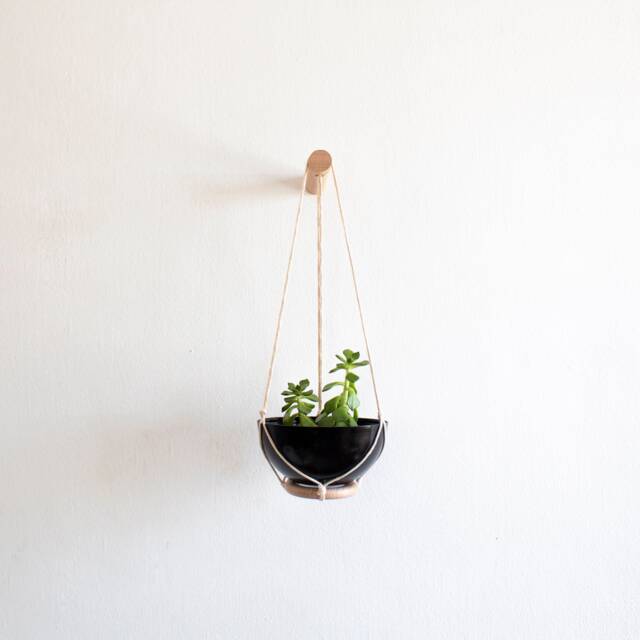 Mini Succulent Planter, Small Plant Hanger, Wall Hook For Hanging Plants, Aluminum Holder, Hanger - image 1