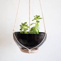 Mini Succulent Planter, Small Plant Hanger, Wall Hook For Hanging Plants, Aluminum Holder, Hanger - thumbnail 3