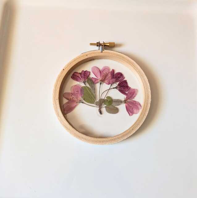 Framed Flowers Wall Art, Red Crabapple Flowers, Hoop Art Decor, Botanical Gifts, Floral Arts, Dried Nature Lovers Gift - image 1