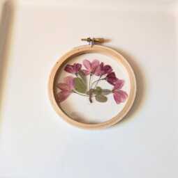 Framed Flowers Wall Art, Red Crabapple Flowers, Hoop Art Decor, Botanical Gifts, Floral Arts, Dried Nature Lovers Gift - thumbnail 1