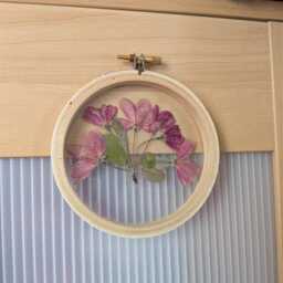 Framed Flowers Wall Art, Red Crabapple Flowers, Hoop Art Decor, Botanical Gifts, Floral Arts, Dried Nature Lovers Gift - thumbnail 3