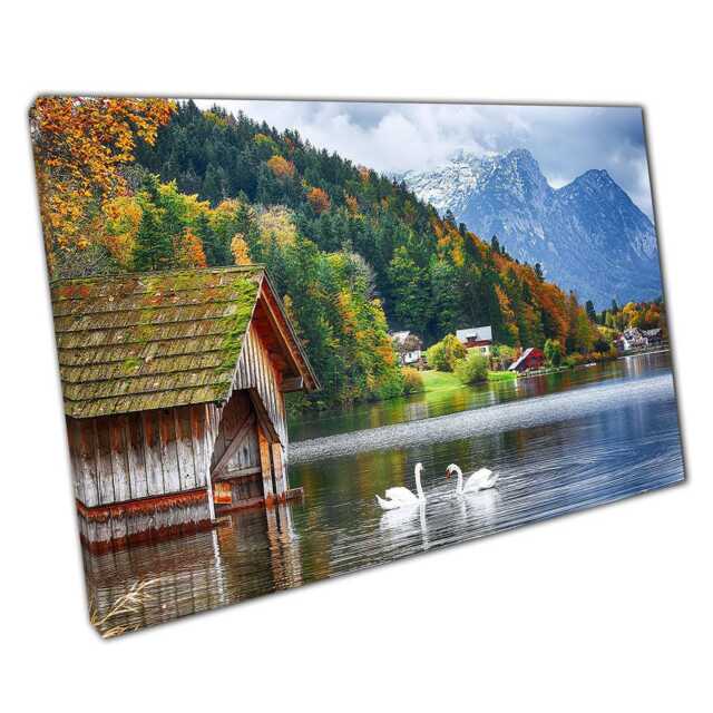 Serene Swans On Austrian Lake Grundlsee Styria Canvas Wall Art Print For Home & Office Decor - image 1