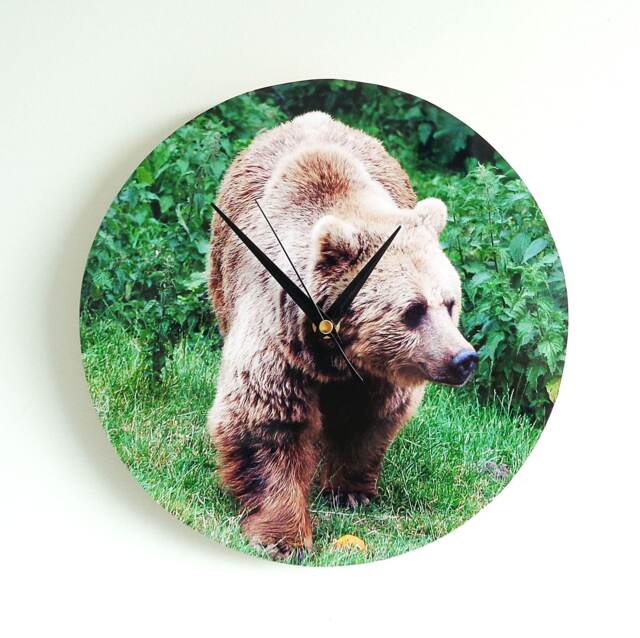 Bear Wall Clock - Decoupage Photo Brown Wild Animal Round 10'' - image 1