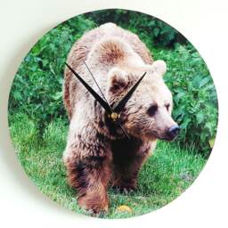 Bear Wall Clock - Decoupage Photo Brown Wild Animal Round 10'' - thumbnail 2