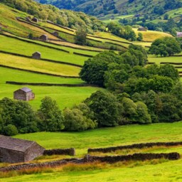 A Beautiful Sweep Following The Old Barns At Swaledale in Yorkshire Dales National Park, Mounted Print. Wall Art. Home Decor - thumbnail 2
