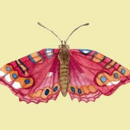 Physical Pink Butterfly Art Print Home Decor Digital Download Watercolor Nursery Office Feminine Girls Bedroom Blue Moth Butterfly Art - thumbnail 2