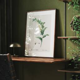 Solomon's Seal Botanical Print Antique Wildflower Illustration - thumbnail 3