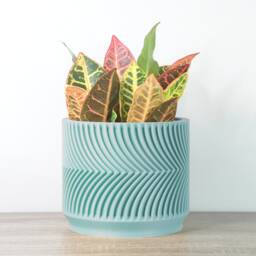 "Parisian Planter With Drainage & Saucer in Teal, Unique 3D-Printed Plant Pot, Small To Large Sizes, 4"" 5"" 6"" 7"" 8" - thumbnail 3