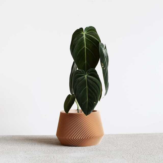 Beige Unique Indoor Planter - Perfect For Green Plant Oslo - image 1