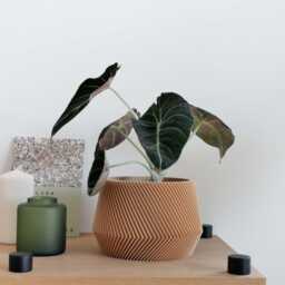 Beige Unique Indoor Planter - Perfect For Green Plant Oslo - thumbnail 2
