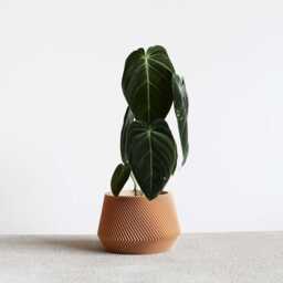Beige Unique Indoor Planter - Perfect For Green Plant Oslo - thumbnail 1