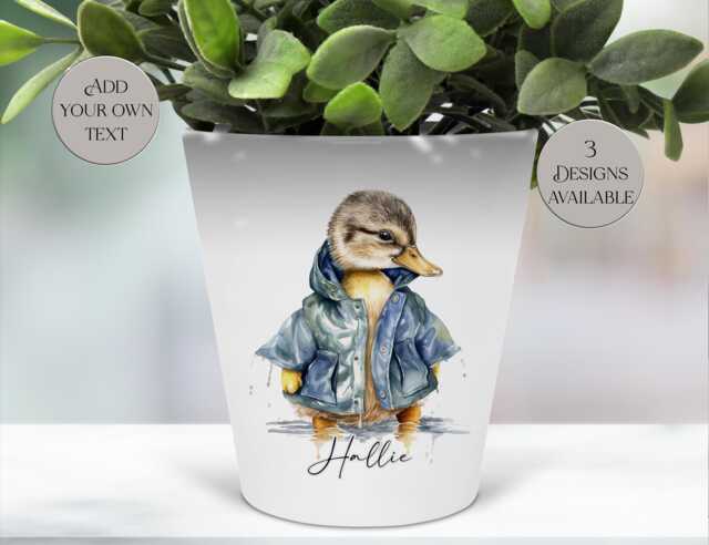 Personalised Duck Plant Pot - Custom Name Planter Cute Duckling D??cor Farmhouse Indoor Rustic Home Accent - image 1
